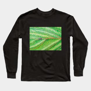 Ant on Leaf of a Chinese Plum Tree Long Sleeve T-Shirt